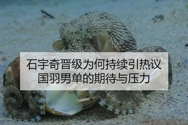 石宇奇晋级为何持续引热议 国羽男单的期待与压力